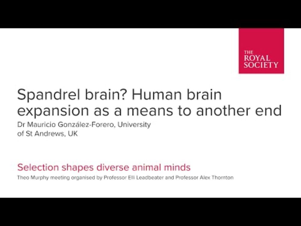 Spandrel brain? Human brain expansion as a means to another end