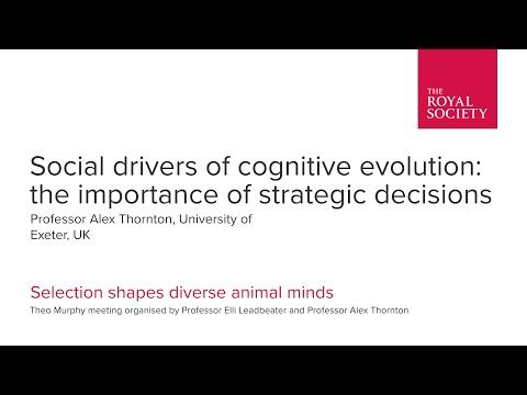 Social drivers of cognitive evolution: the importance of strategic decisions