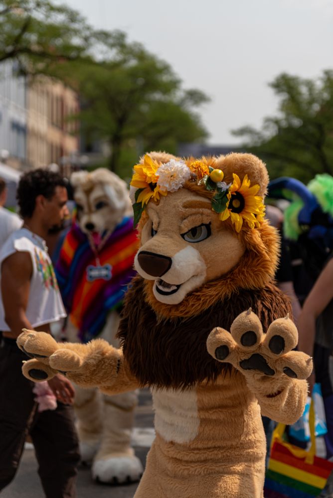 Ado the lion in the foreground