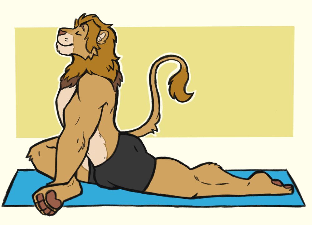 Ado the lion stretching his hamstrings while wearing some tight black shorts. He's on a blue yoga mat with a yellow background.  His eyes are closed, he looks content.