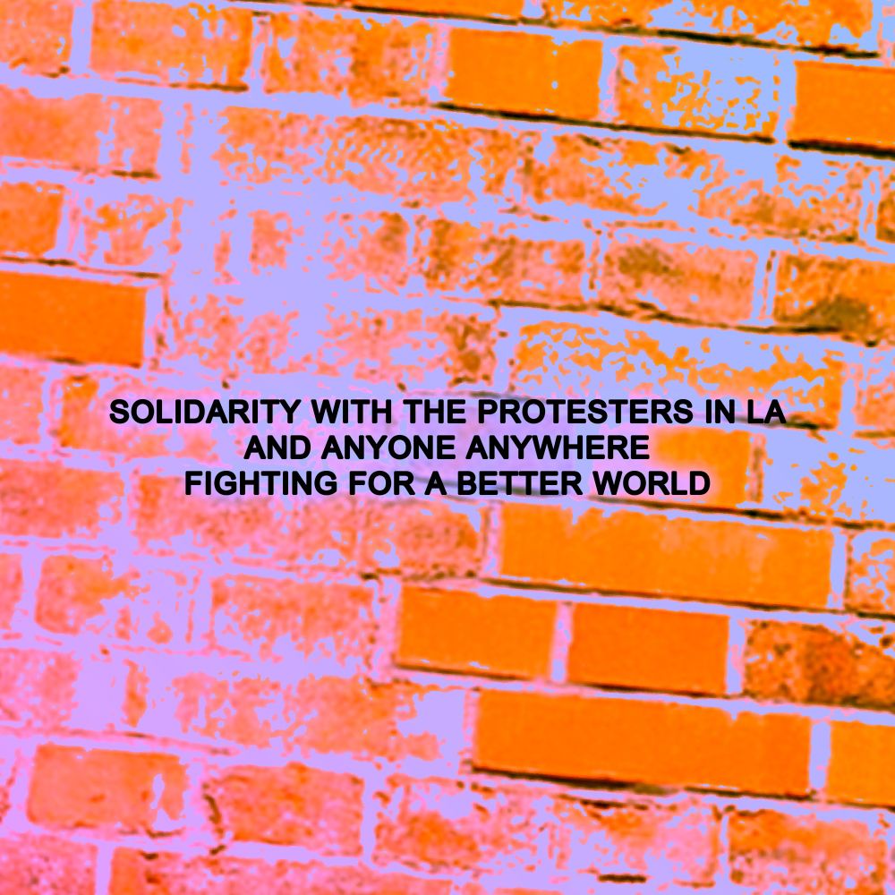 SOLIDARITY WITH THE PROTESTERS IN LA AND ANYONE ANYWHERE FIGHTING FOR A BETTER WORLD