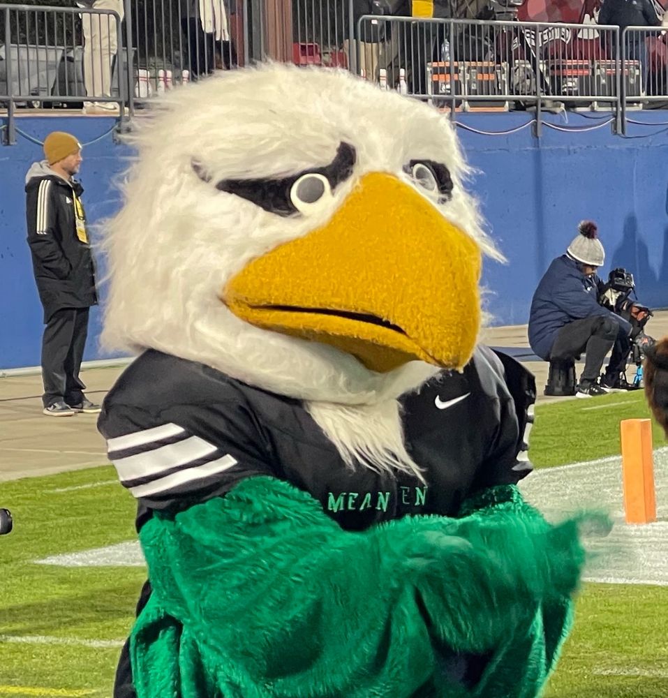 Scrappy the eagle looking worried. 