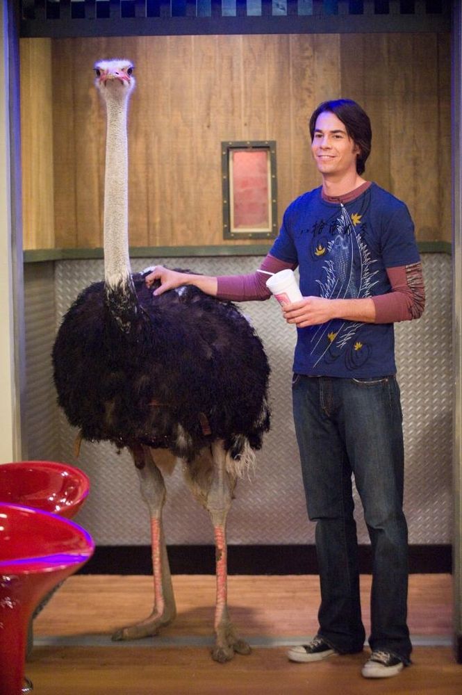 Jerry Trainor