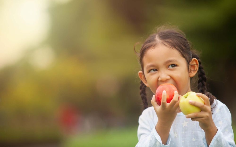 Home - Second Harvest Food Bank of Northeast Tennessee