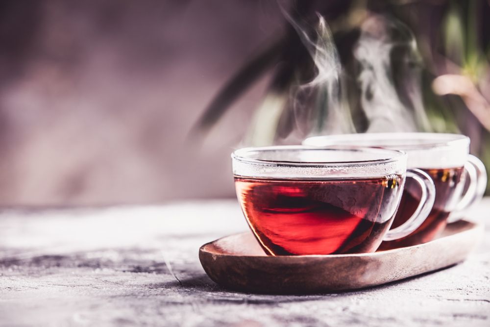 Two glass tea cups filled with hot tea. A plant in the background.