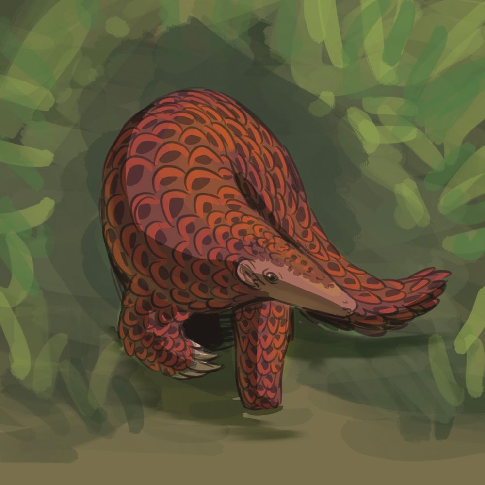 A digital drawing of a Giant Asian Pangolin
