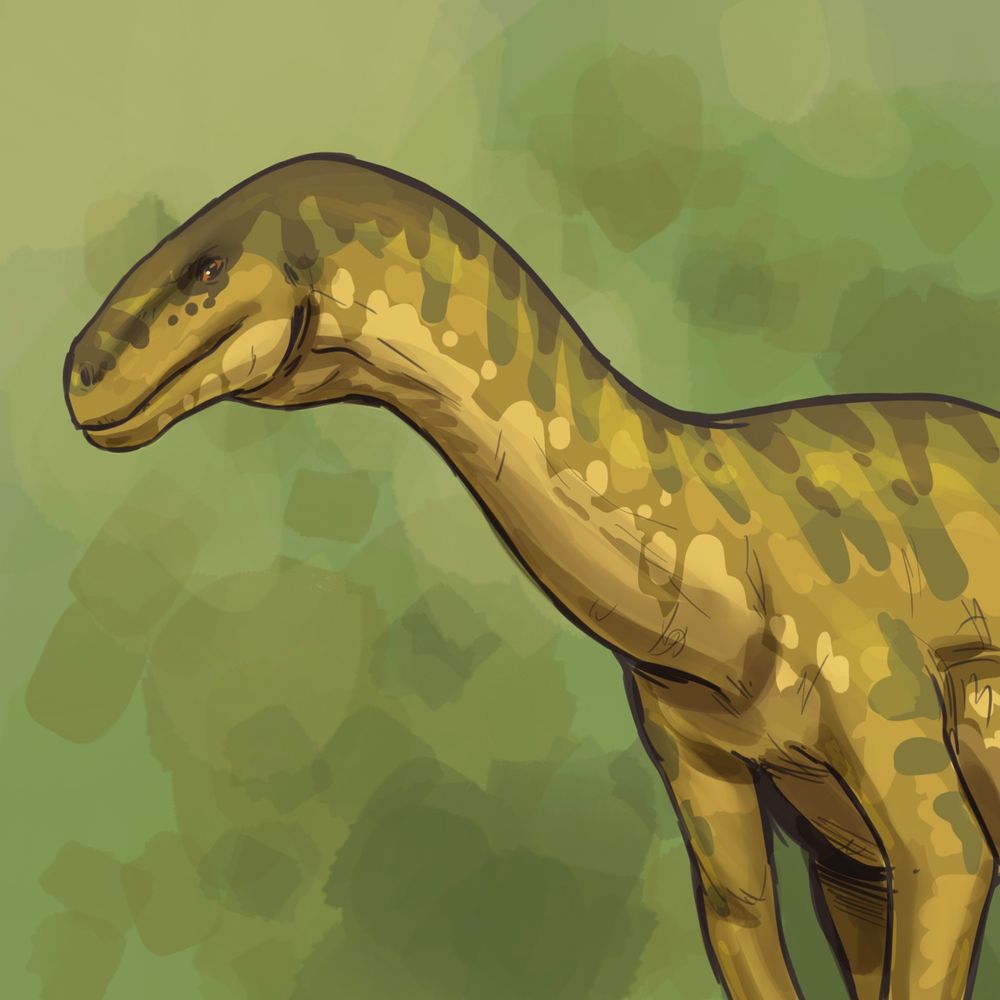 A digital drawing of Wudingloong