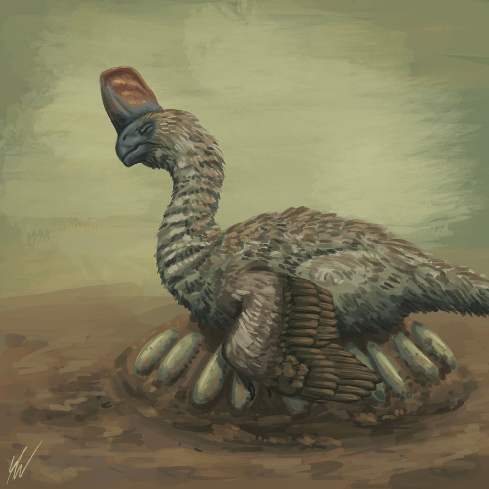 A digital painting of a male Corythoraptor incubated it’s eggs