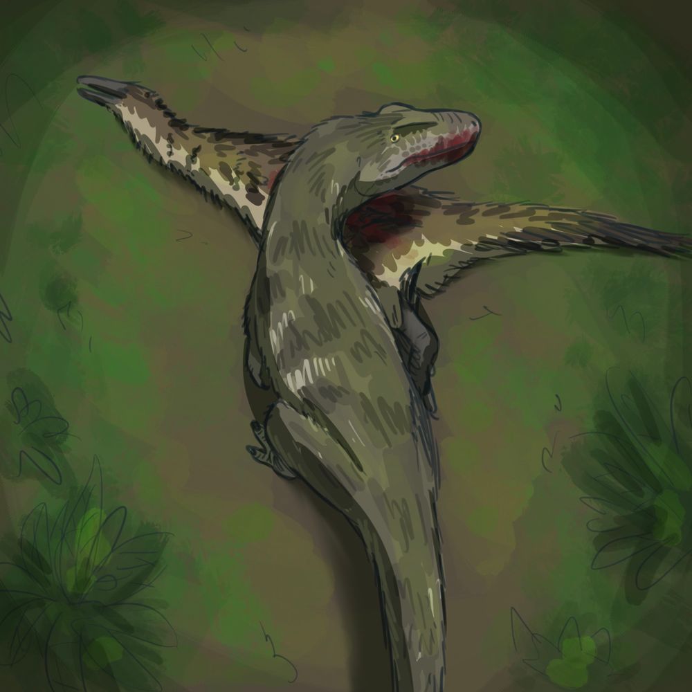 A digital drawing of a Khankhuuluu eating a Duonychus.