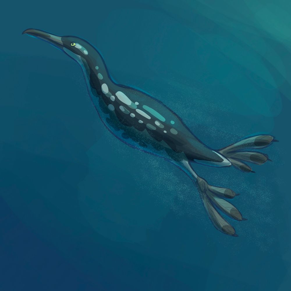 A digital drawing of a Hesperornis