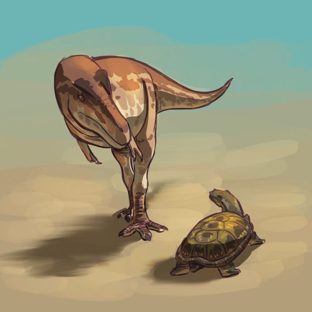 A digital drawing of Asiatyrannus and Nanhsiungchelys