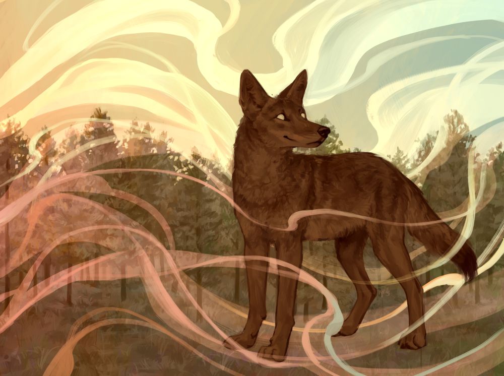 digital illustration in orange, yellow, green, and blue tones of a coyote standing against a forest backdrop. light colors swirl around it