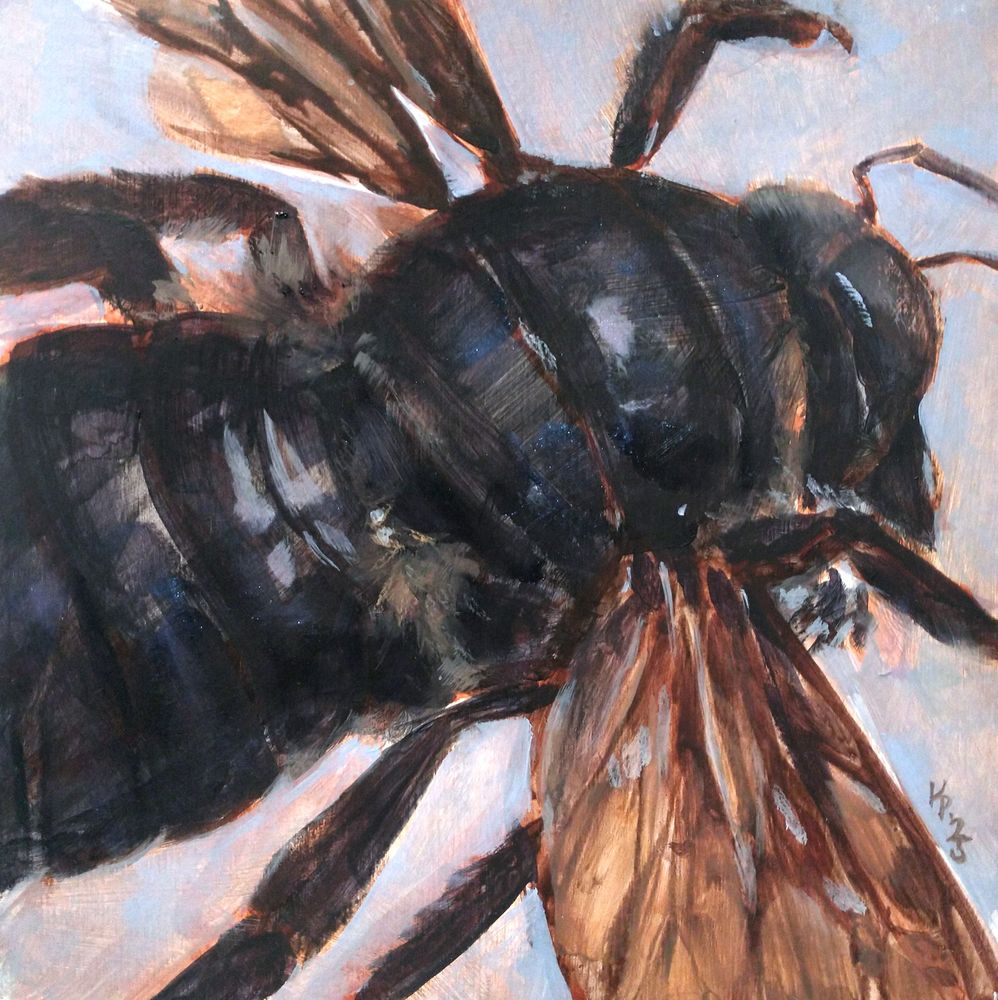 oil painting of a california carpenter bee against a light blue-grey background