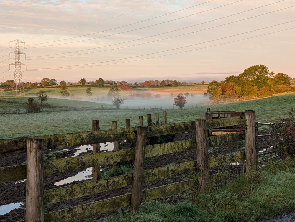 View over fields with golden sunlight on the trees. Mist hanging in the fields. 