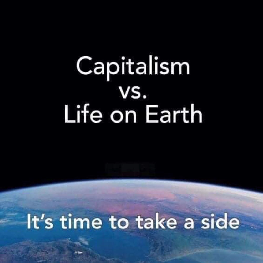 Photo von Erde im All. Text:
Capitalism vs Life on earth 
It’s time to take a side