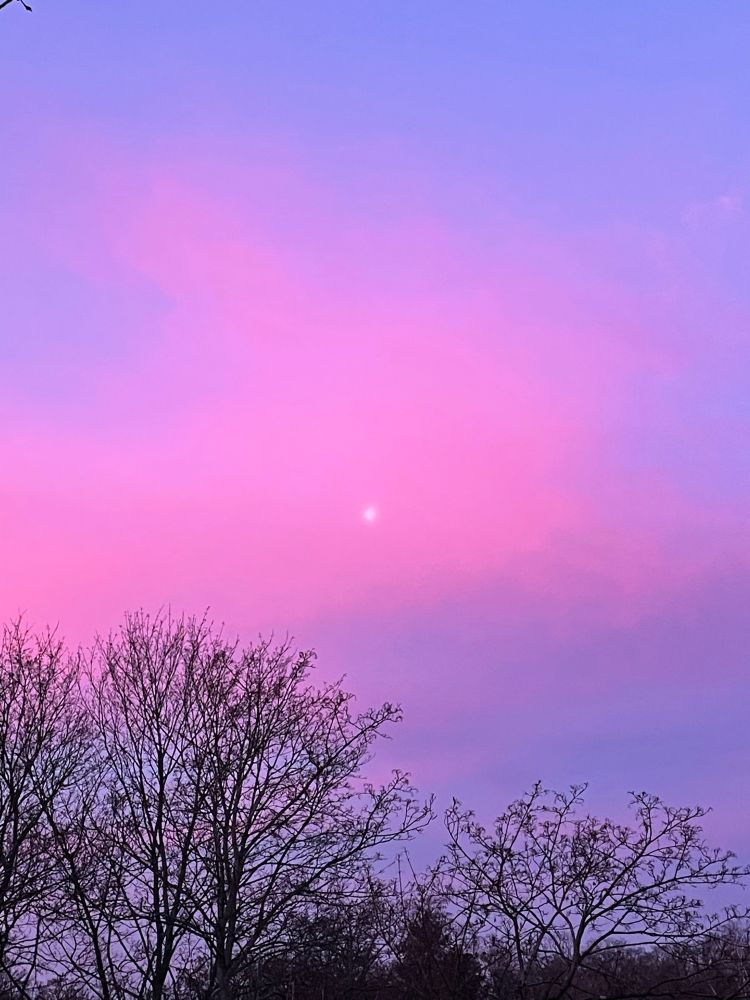 Rosa-Lila Himmel verdeckt Sonne