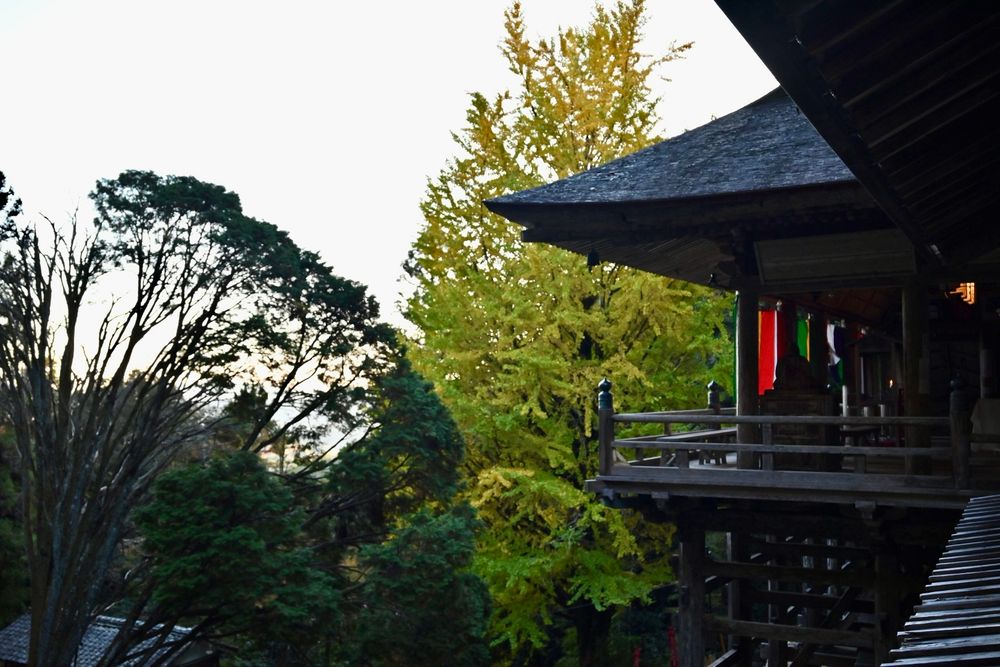 本堂 岐阜県指定重要文化財