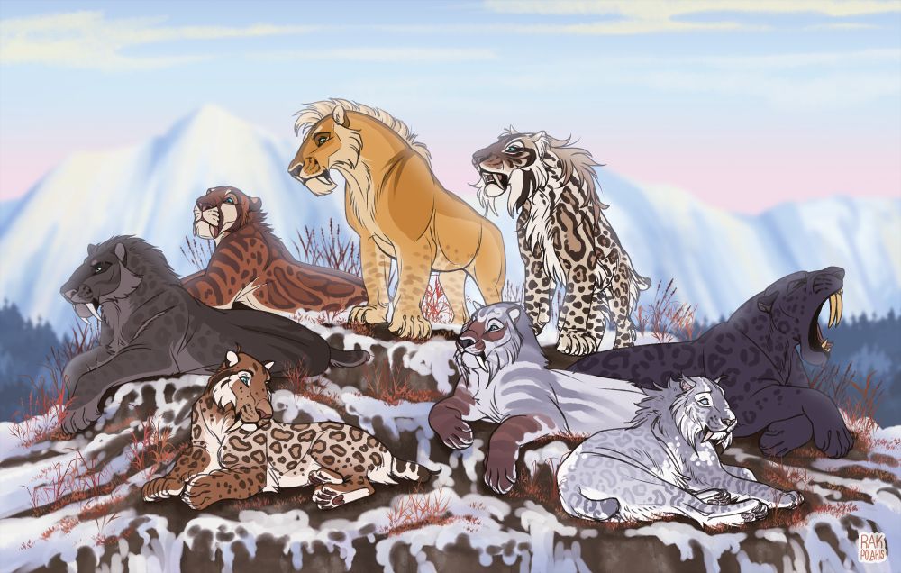 Digital drawing depicting eight sabertoothed cats in a snowy environment with mountains in the distant background. The cats are lying down, relaxing together as if resting after a hunt, with only two of them standing up and looking around, as if scouting the area. Their colors range from black, grey, brown, cream and golden, with most of them heavily spotted with a rosettes pattern (similar to a jaguar's).