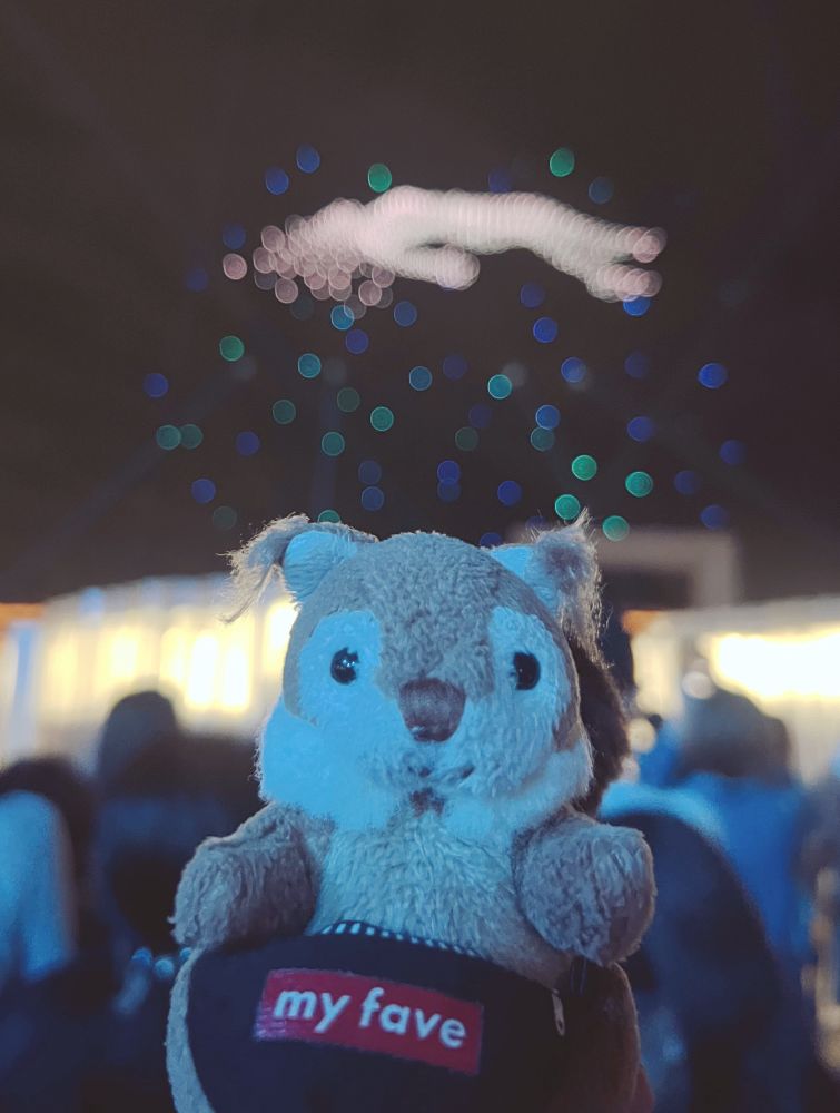 万博のドローンショーを背景に写真を撮るリスのぬいぐるみ