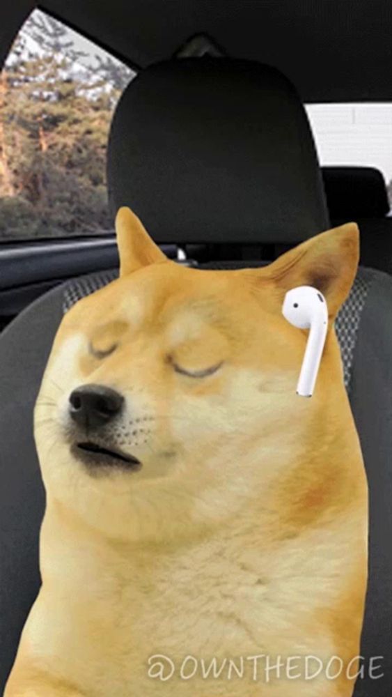 a dog wearing a pair of ear buds is sitting in a car seat