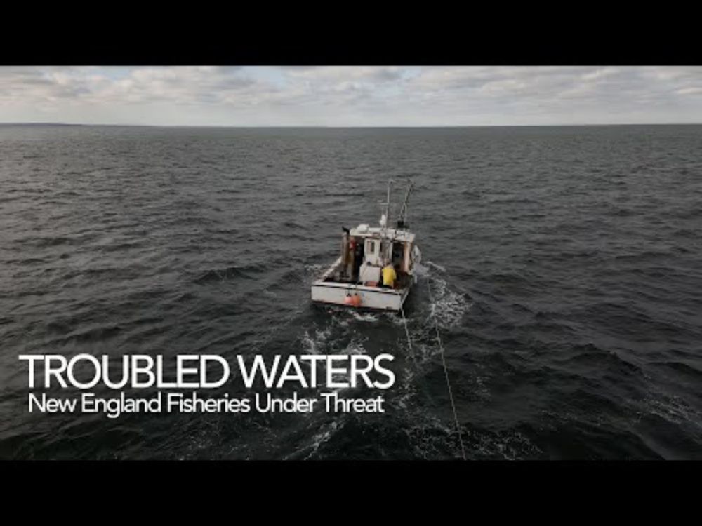 Trouble Waters