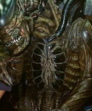 A zoomed in behind-the-scenes photo of the Xeno's chest from Alien: Earth. Showcasing the aforementioned chest pattern. 