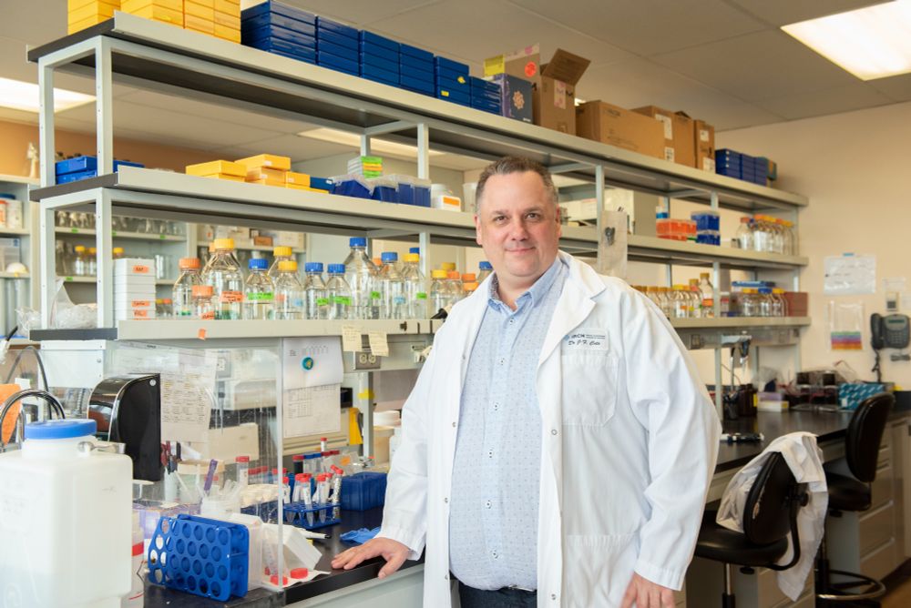 Our scientists' expertise is once again on the international stage! 🌍✨
This Tuesday, July 16, Dr. Jean-François Côté, Director of the Cytoskeletal Organization and Cell Migration Research Unit, will speak at the prestigious FASEB Protein Phosphorylation Conference.
Internationally recognized for his research on metastasis, he will present a lecture entitled "AXL as a Mediator of Breast Cancer Metastasis: Dissecting Localization and Tumor Microenvironmental Cues."
For 40 years, this event has brought together leading specialists in the field of protein phosphorylation, as it relates to health and disease.
Dr. Côté's participation confirms, once again, the international reach of his work and that of our institute. Congratulations! 
🔗 https://bit.ly/45bnXez
