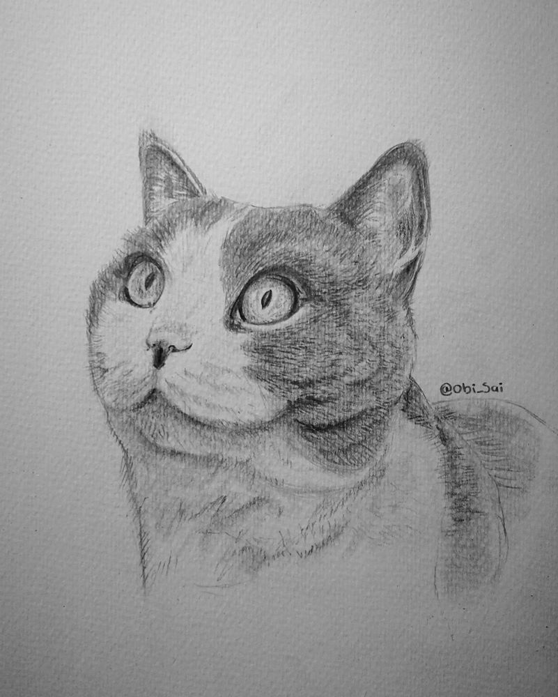 Pencil on watercolour paper

This is 꿍 (Kkoong/Ggung), one of Taemin from SHINee's cats 😌
