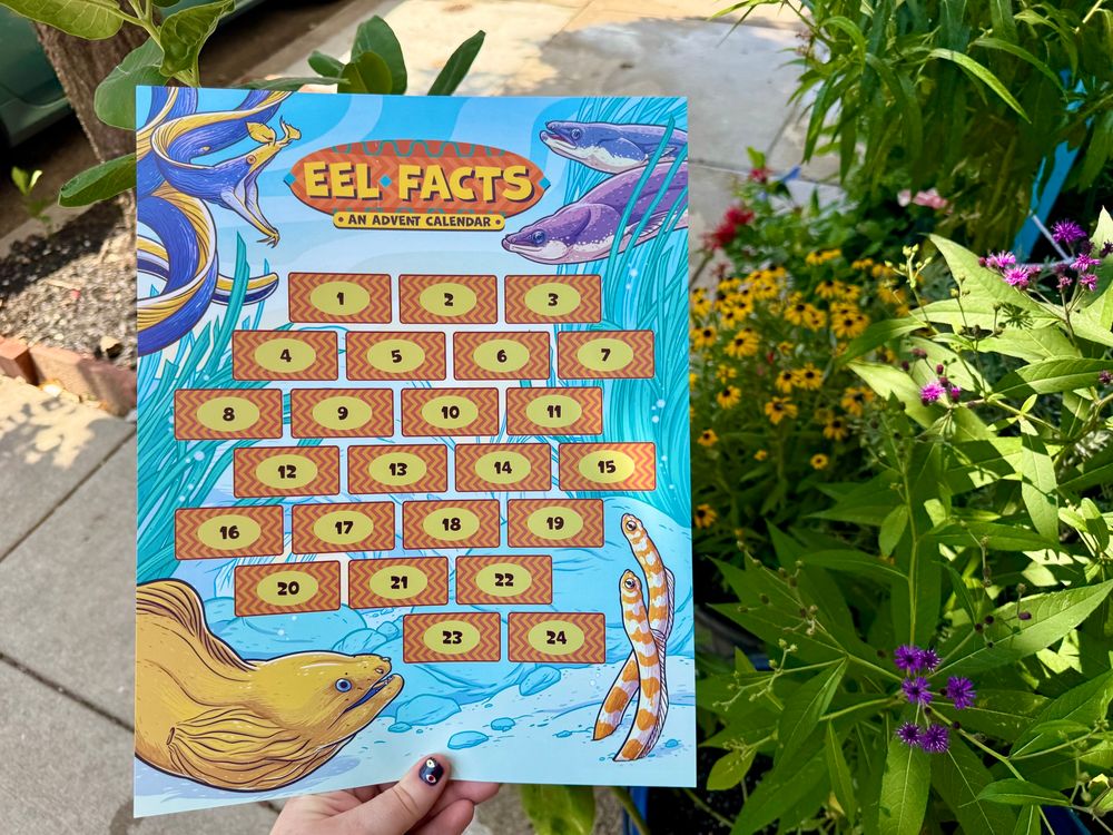 Sarah holds up a brightly colored eel calendar with a moray, ribbon eel, splendid garden eels, and American and European eels, in front of some plants on the sidewalk