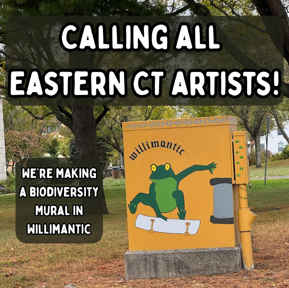 A picture of an electrical box with an extremely rad skateboarding frog with curved letters on top that say willimantic. It is... extremely rad. The words superimposed over the image say "Calling all Eastern CT artists" We're making a biodiversity mural in willimantic 