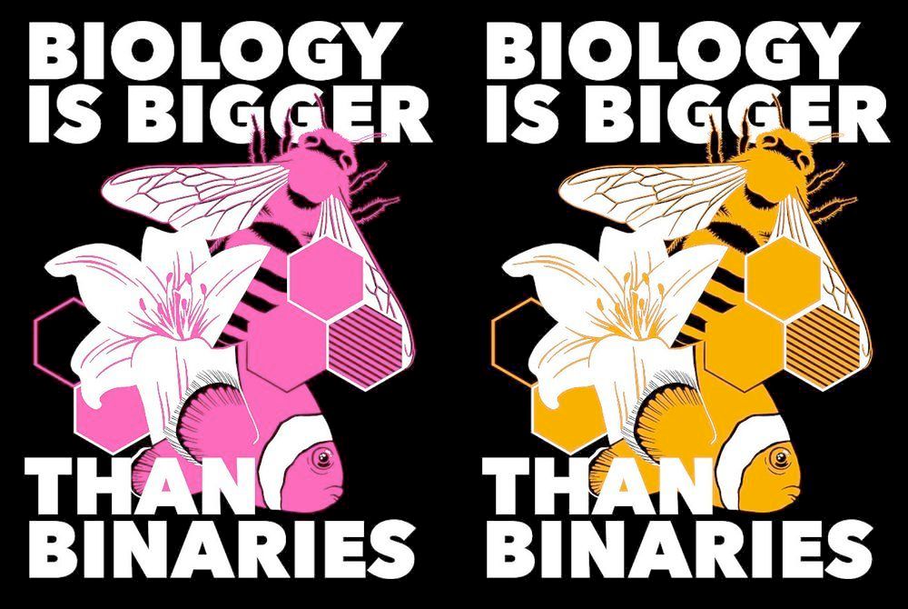 2 versions of the same design, all of which say "Biology is bigger than binaries", with a central image of a bee, a clownfish, and a lily. The one on. the left is pink, the right is orange,