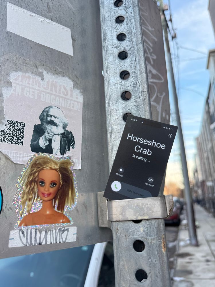A business card sized piece of paper looks like an iPhone. It looks like the screen where someone is calling. A horseshoe crab is on the line for you. 

This is stuck in a street pole 