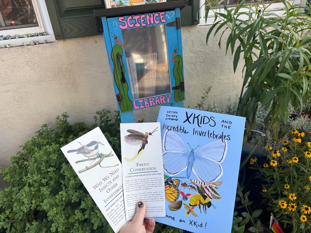 Sarah holds up 3 brochures about insects. One says why we need insects and other invertebrates, one says firefly conservation, the third says xkids incredible invertebrates and it’s a whole coloring and activity book 