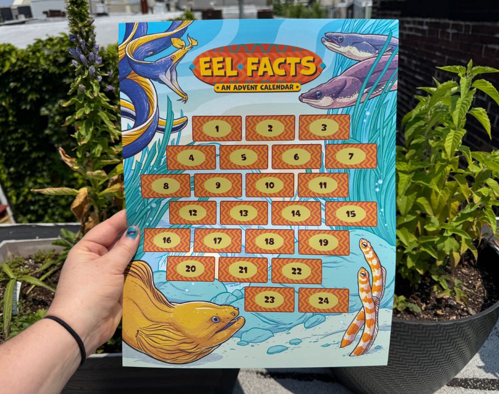 Sarah holds up the eel facts advent calendars among some potted plants. The calendars have 24 scratch off areas that are numbered. The eels are american eels, garden eels, european eels, moray eels, and ribbon eels. 