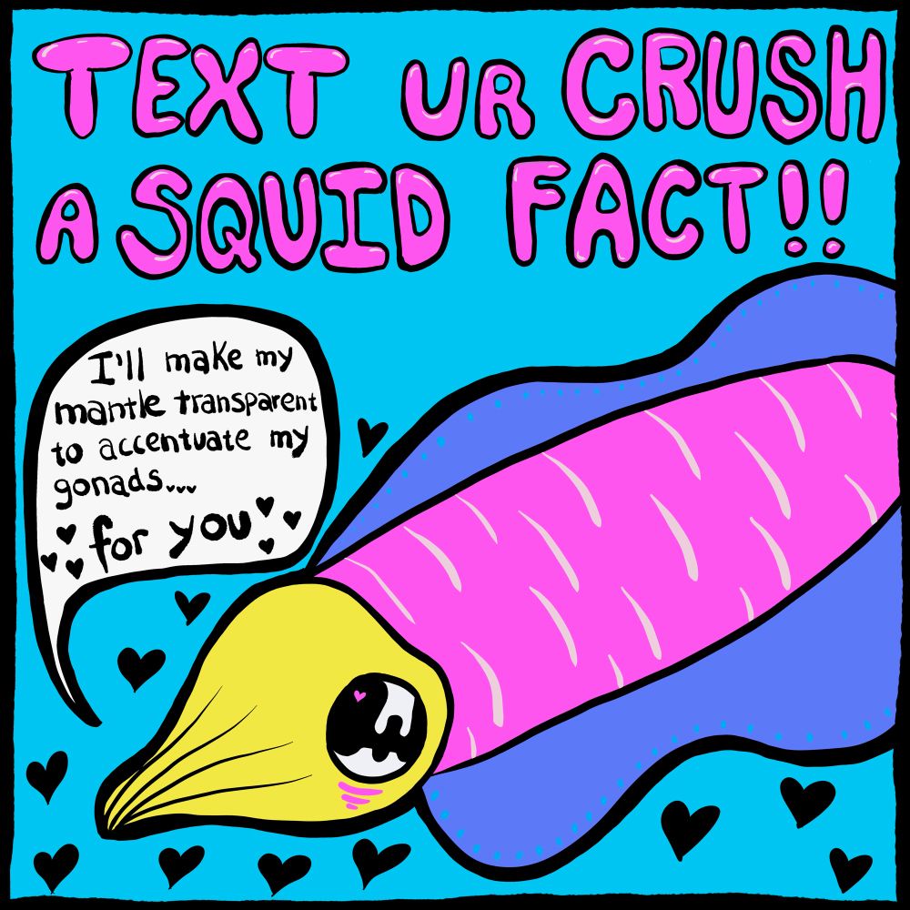 A bright pink purple and yellow squid is blushing with a little heart in its pupil, surrounded by little black inky hearts and is saying “I’ll make my mantle transparent to accentuate my gonads…for you” and then on top in shiny pink bubble letters it says “text your crush a squid fact”
