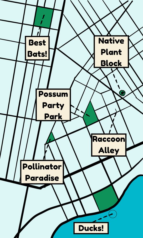 A map of Sarah's neighborhood that includes call outs for the good shit, including "best bats", "Native Plant Block", "Possum party Park", "pollinator paradise", "Raccoon alley", and "Ducks!"