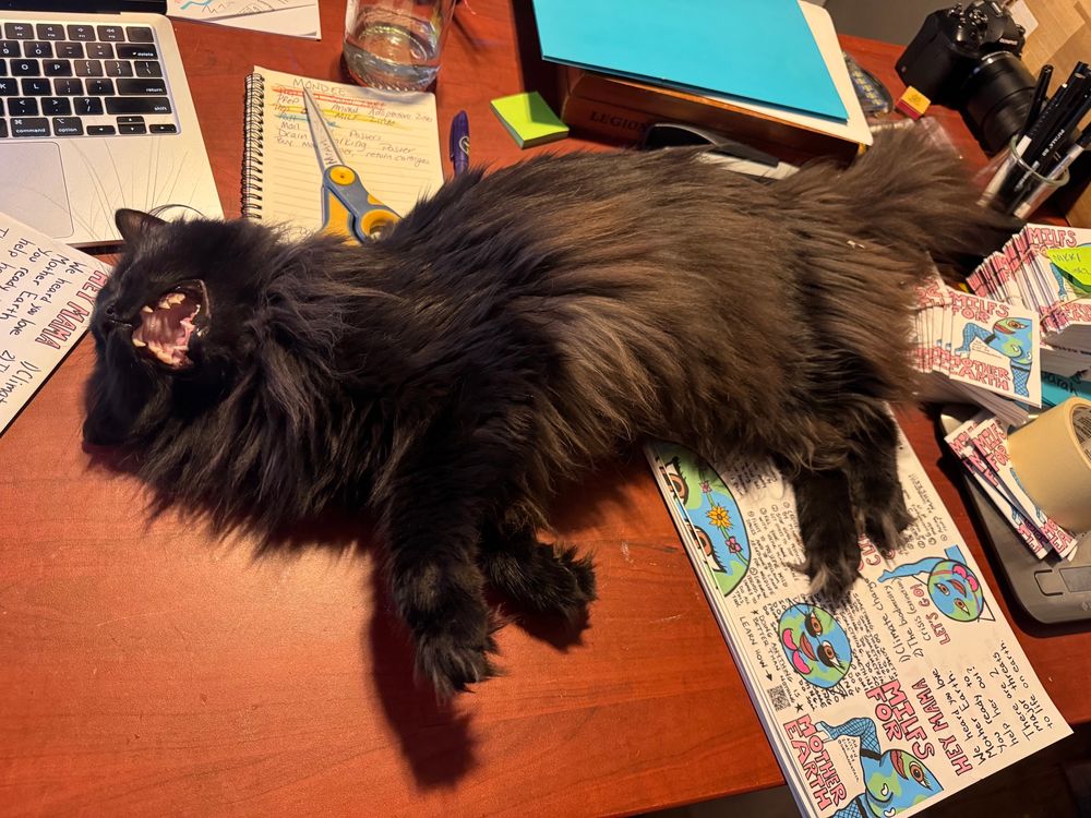 Otis sprawls out across my zine folding desk, laying on her side, yelling 