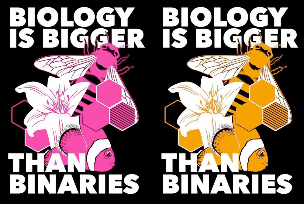 2 versions of the same design, all of which say "Biology is bigger than binaries", with a central image of a bee, a clownfish, and a lily. The one on. the left is pink, the right is orange,