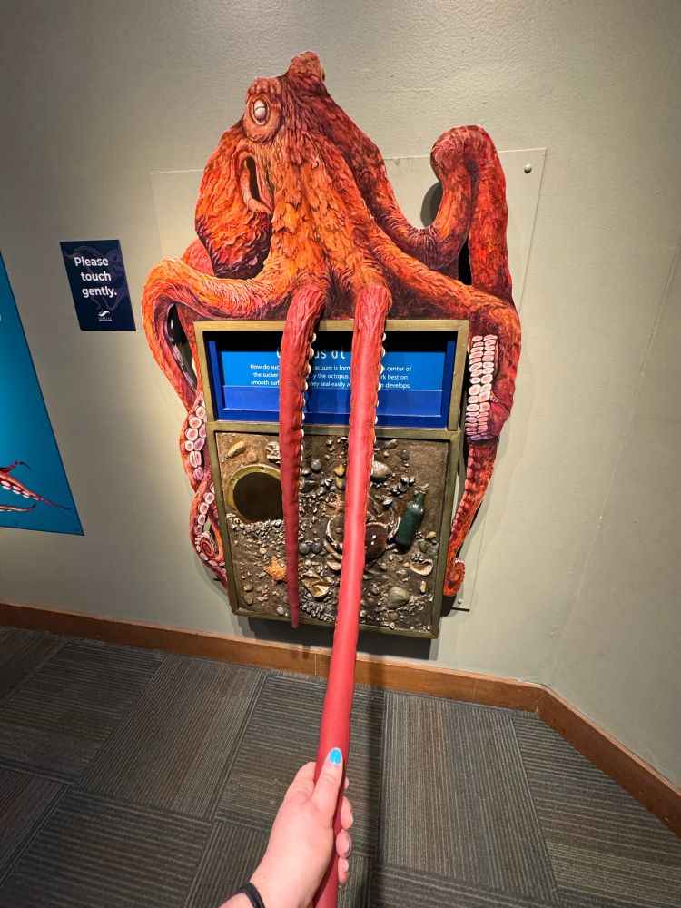 A large octopus on a wall and sarah holds one of its arms in her hand