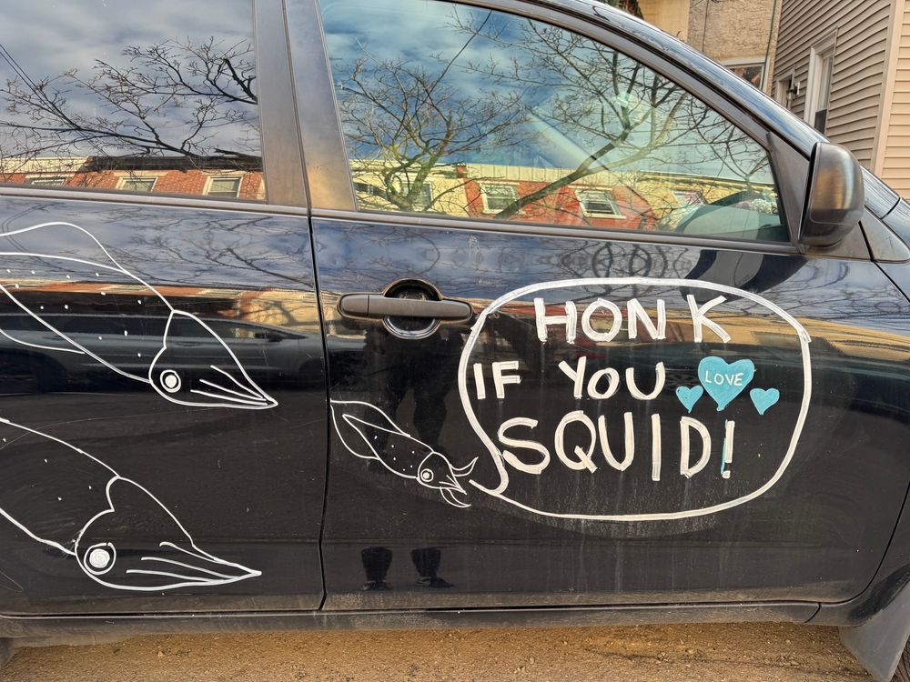 A black car that says “honk if you [heart heart heart] squid” alongside some squid 