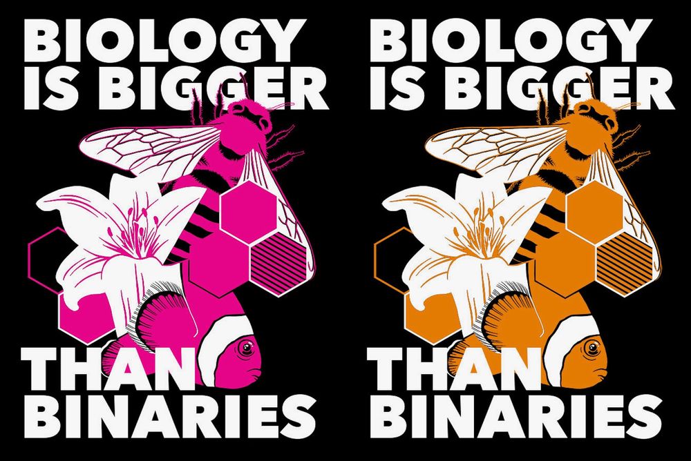 Two identical shirt designs but one is magenta and one is orange. It says biology is bigger than binaries and it has a clownfish and a bee and a lily