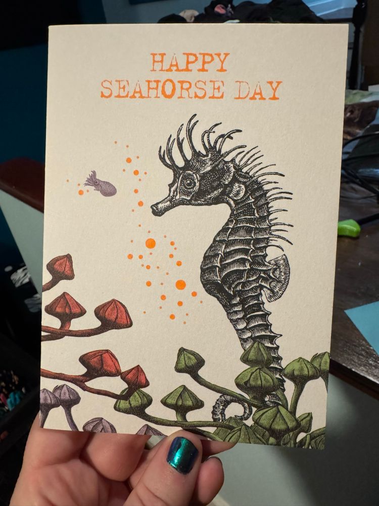 A seahorse and tiny bobtail squid on a card that inexplicably says happy seahorse day 