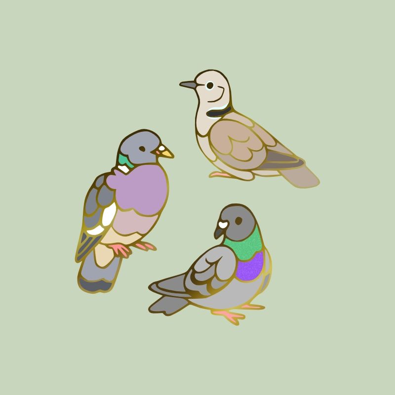 An illustration of a wood pigeon, collared dove, and a feral pigeon
