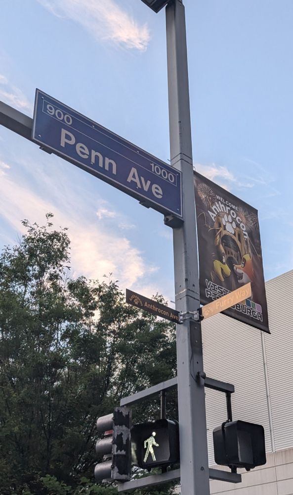 A picture of Anthrocon themed street signs