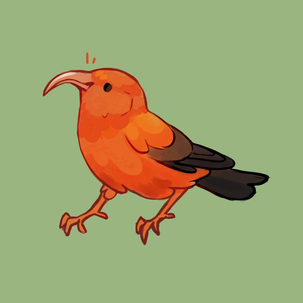 An illusion of an ʻIʻiwi, a red bird from Hawai'i