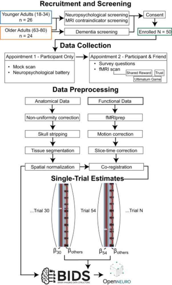 An fMRI Dataset on Social Reward Processing and Decision Making in Younger and Older Adults - Scientific Data