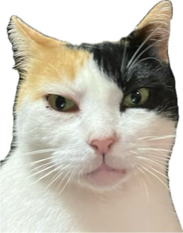 Comment image