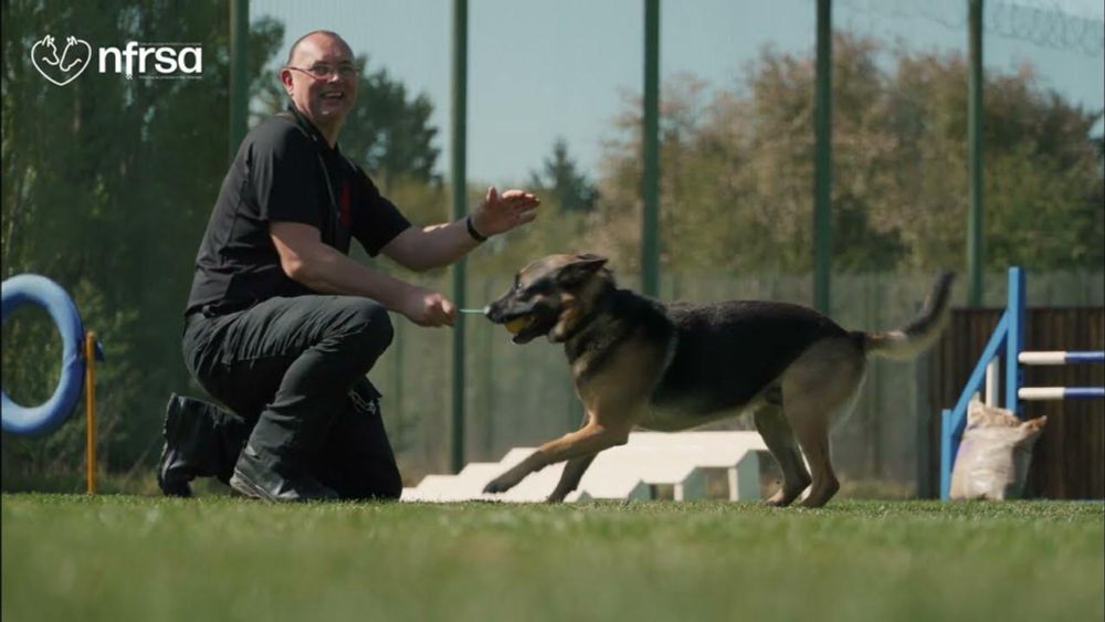 NFRSA - An Introduction to The National Foundation for Retired Service Animals