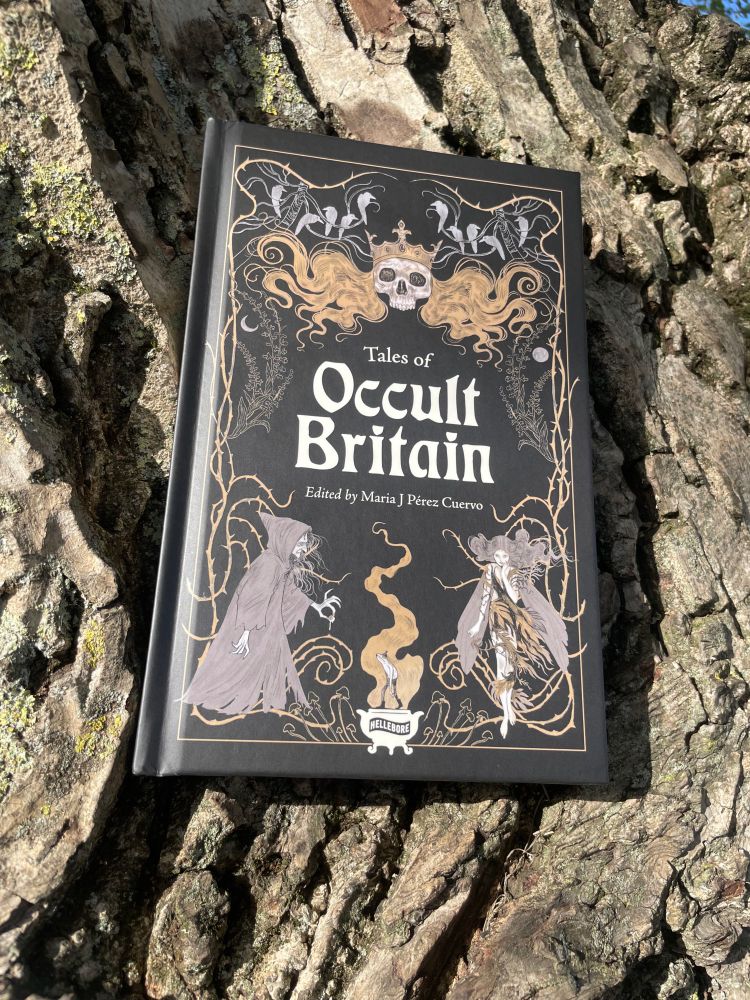 Hardback book - Tales of Occult Britain - rests against a tree trunk in the sun