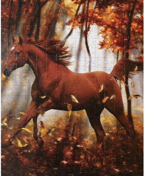 Brand: Lafayette Puzzle Factory, Title: Forest Enchantment, Photographer: Bob Langrish, Pieces: 300 (8+ years) Large size, Size: 18" x 24" or 46x61cm